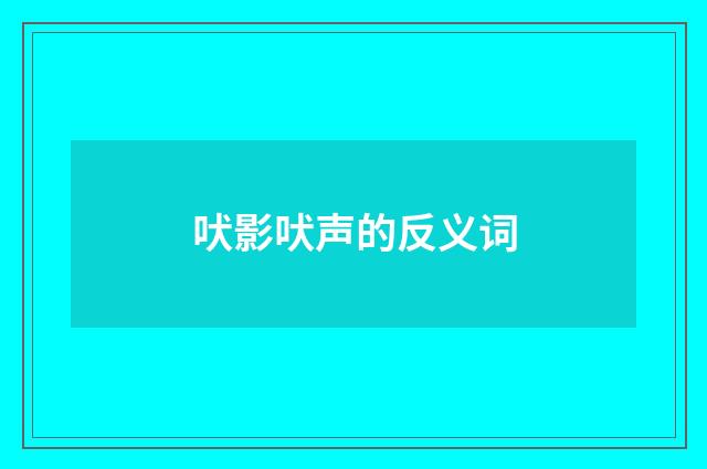 吠影吠声的反义词