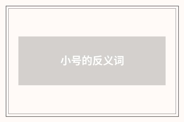小号的反义词