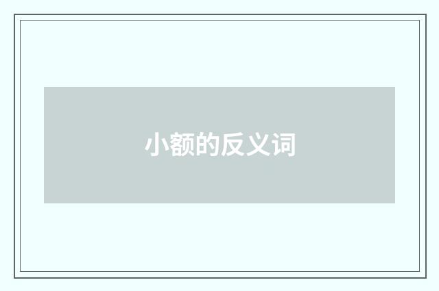 小额的反义词