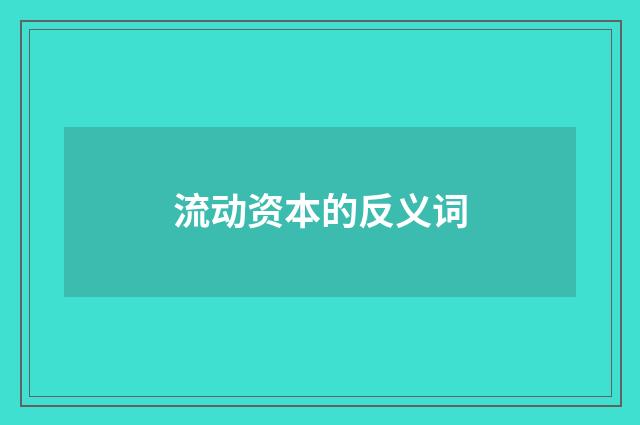 流动资本的反义词