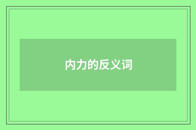 内力的反义词