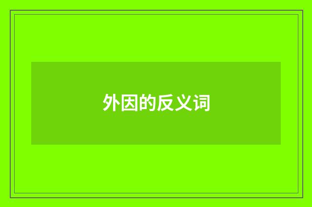 外因的反义词