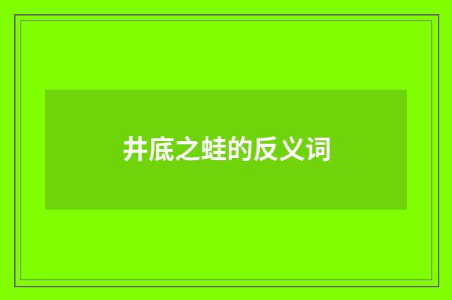 井底之蛙的反义词