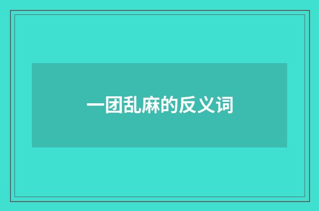一团乱麻的反义词