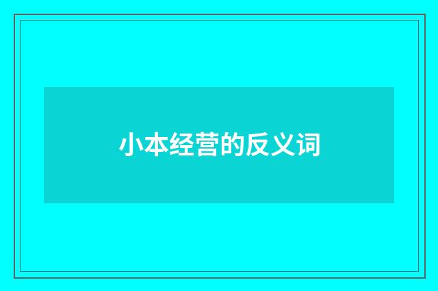 小本经营的反义词