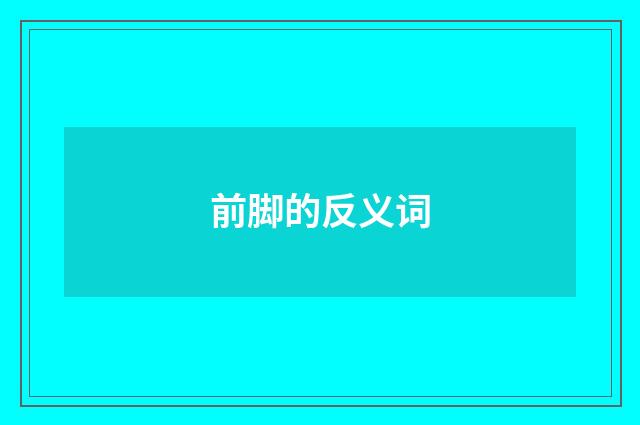 前脚的反义词