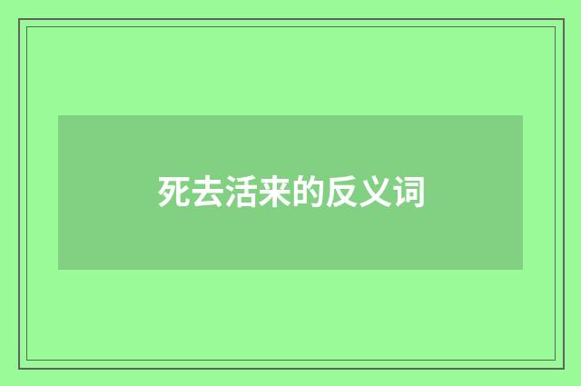 死去活来的反义词