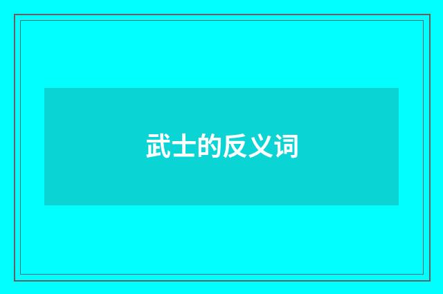 武士的反义词