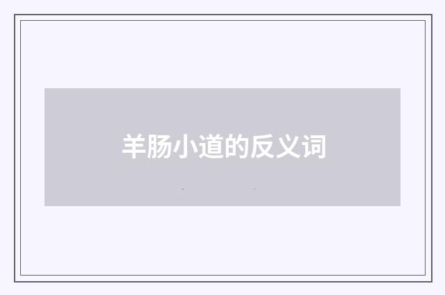 羊肠小道的反义词