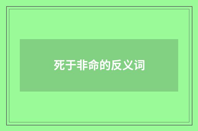 死于非命的反义词