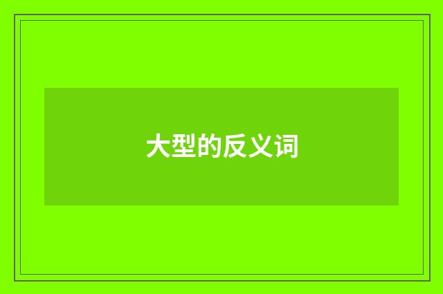 大型的反义词