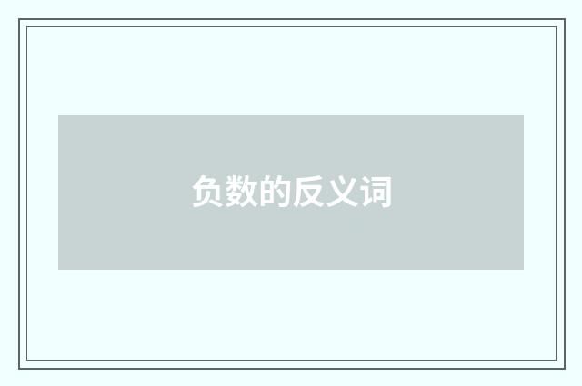 负数的反义词