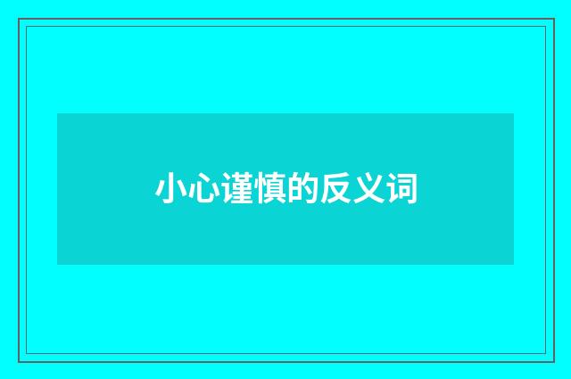 小心谨慎的反义词