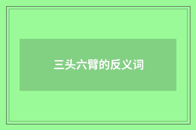 三头六臂的反义词