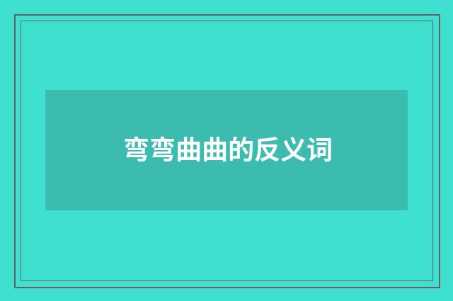 弯弯曲曲的反义词
