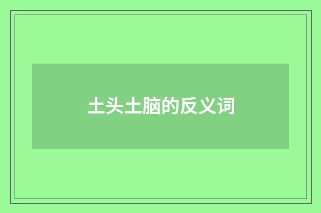 土头土脑的反义词