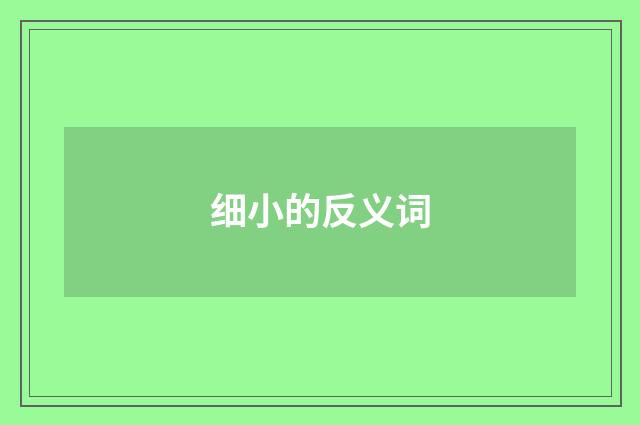 细小的反义词