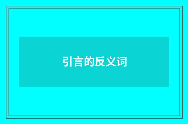 引言的反义词
