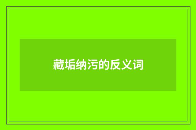 藏垢纳污的反义词