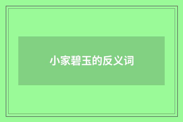 小家碧玉的反义词