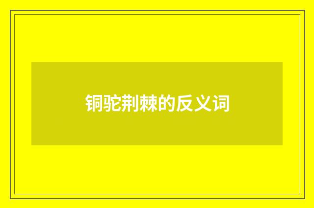 铜驼荆棘的反义词