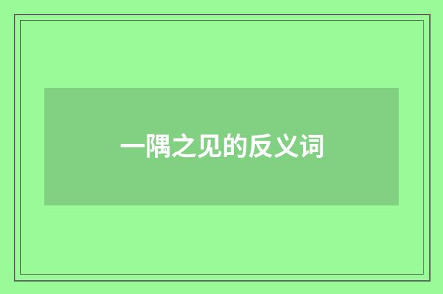 一隅之见的反义词