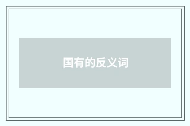 国有的反义词