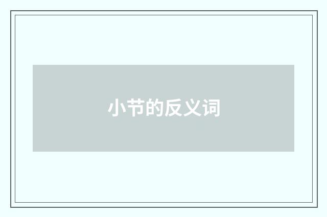 小节的反义词