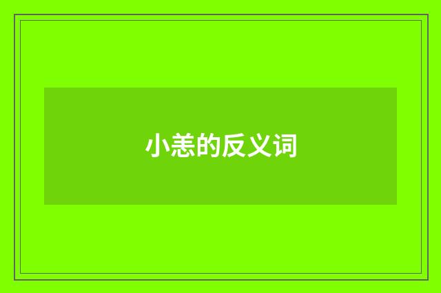 小恙的反义词