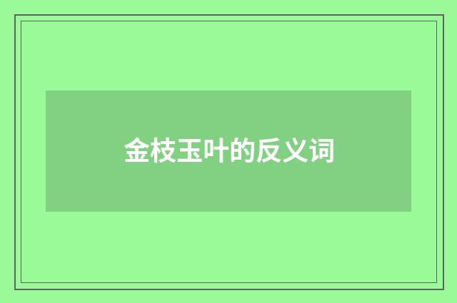 金枝玉叶的反义词