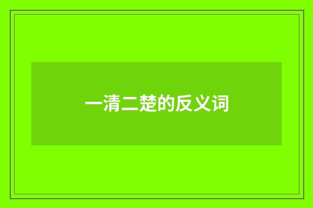 一清二楚的反义词