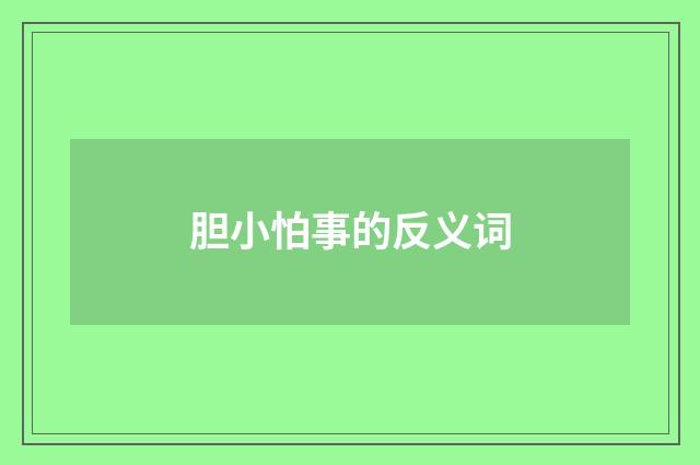 胆小怕事的反义词