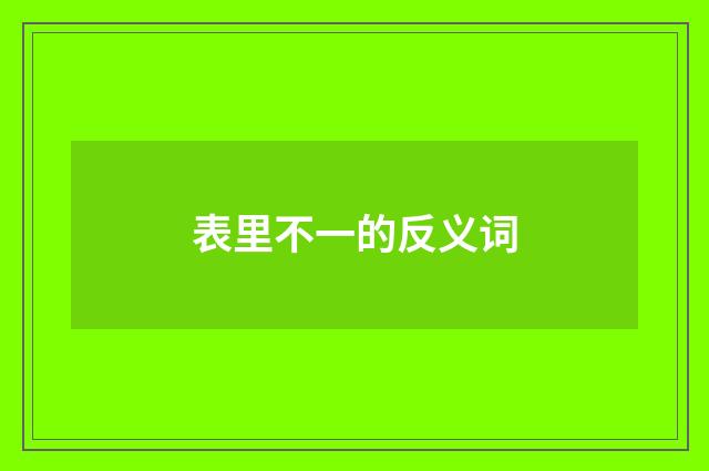 表里不一的反义词