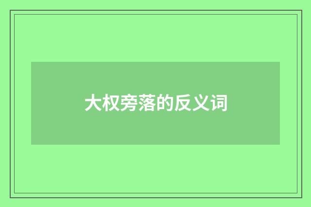 大权旁落的反义词