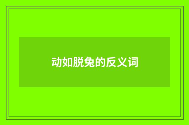 动如脱兔的反义词