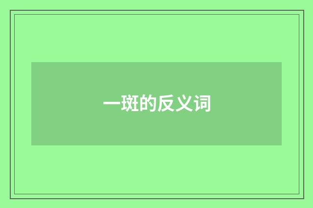 一斑的反义词