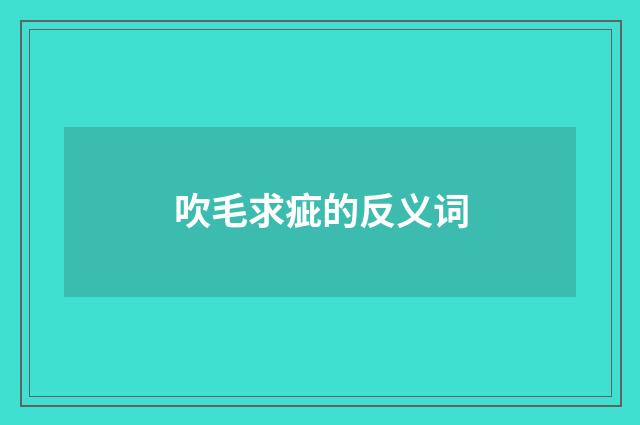 吹毛求疵的反义词