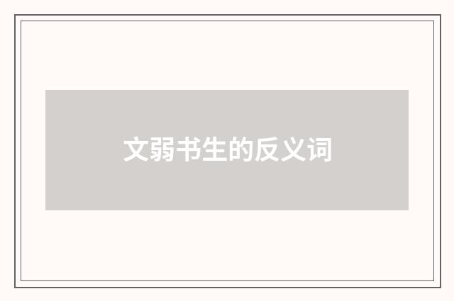 文弱书生的反义词
