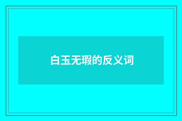 白玉无瑕的反义词