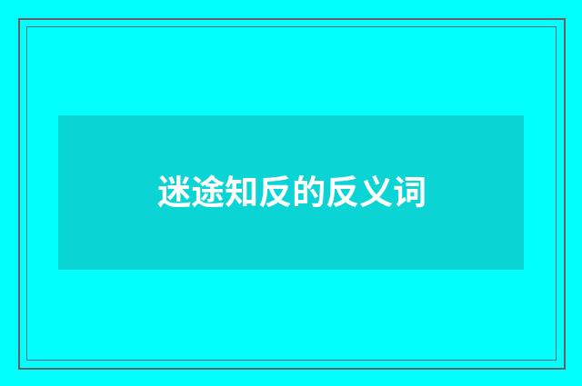 迷途知反的反义词