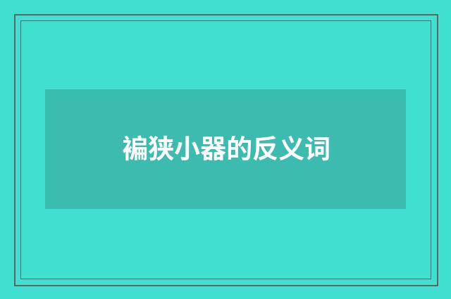 褊狭小器的反义词
