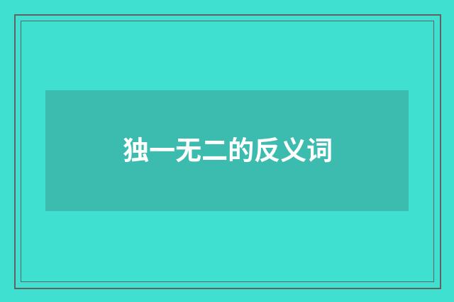 独一无二的反义词