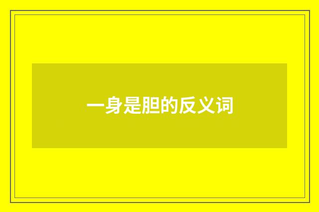 一身是胆的反义词