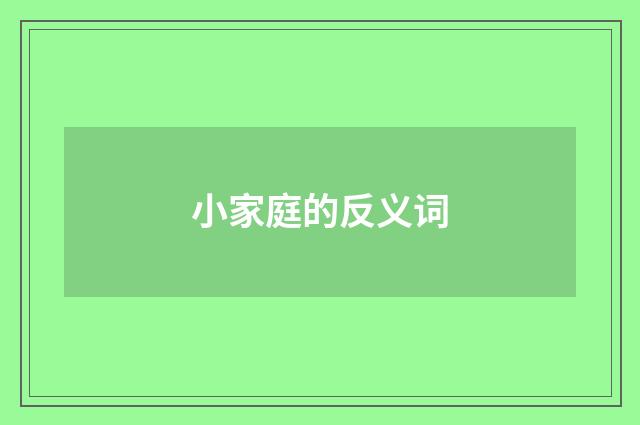 小家庭的反义词