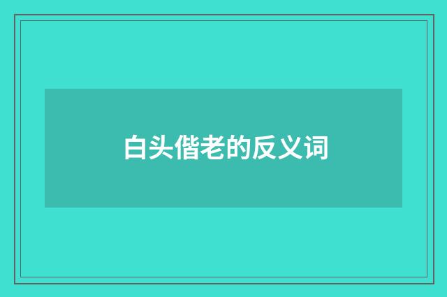 白头偕老的反义词