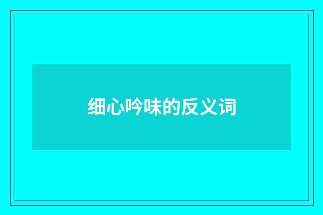 细心吟味的反义词