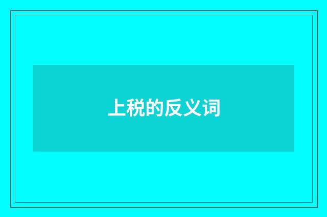 上税的反义词