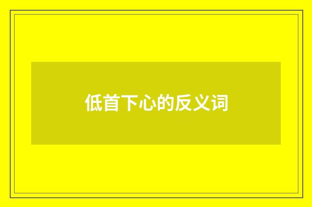 低首下心的反义词