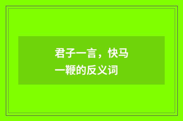 君子一言，快马一鞭的反义词