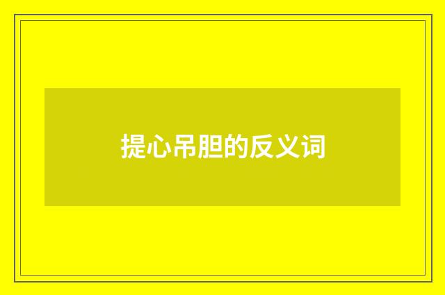 提心吊胆的反义词